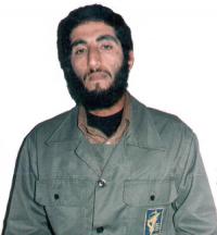 Seyed_Mohammad_Hamzei_Berijani