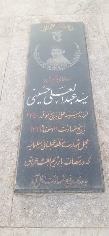 MAZ.S.abdolali.savare