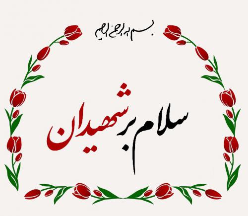 Profile_shahid
