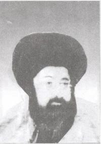 سید محمد مجاهد