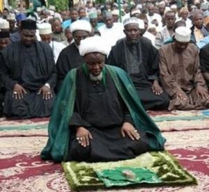 شیخ  زکزاکی 3