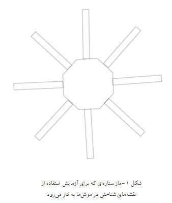 روان‌شناسی تولمن
