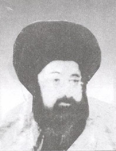 سید محمد مجاهد