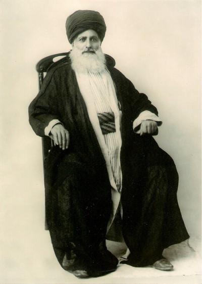 سید محسن امین